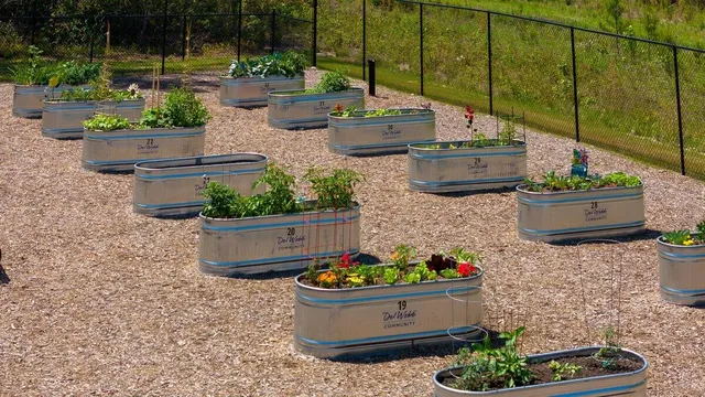 $615,000 | 428 Hidden Meadow Lane, Summerville, SC 29486