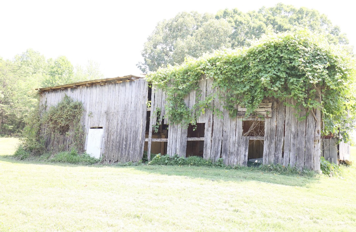 3979 3 Island Road Walling, TN 38587 - Photo 13 of 20 Gallery Image 13