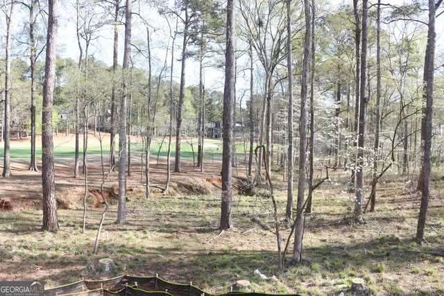 $3,099,000 | 1140 Fox Bend, Greensboro, GA 30642