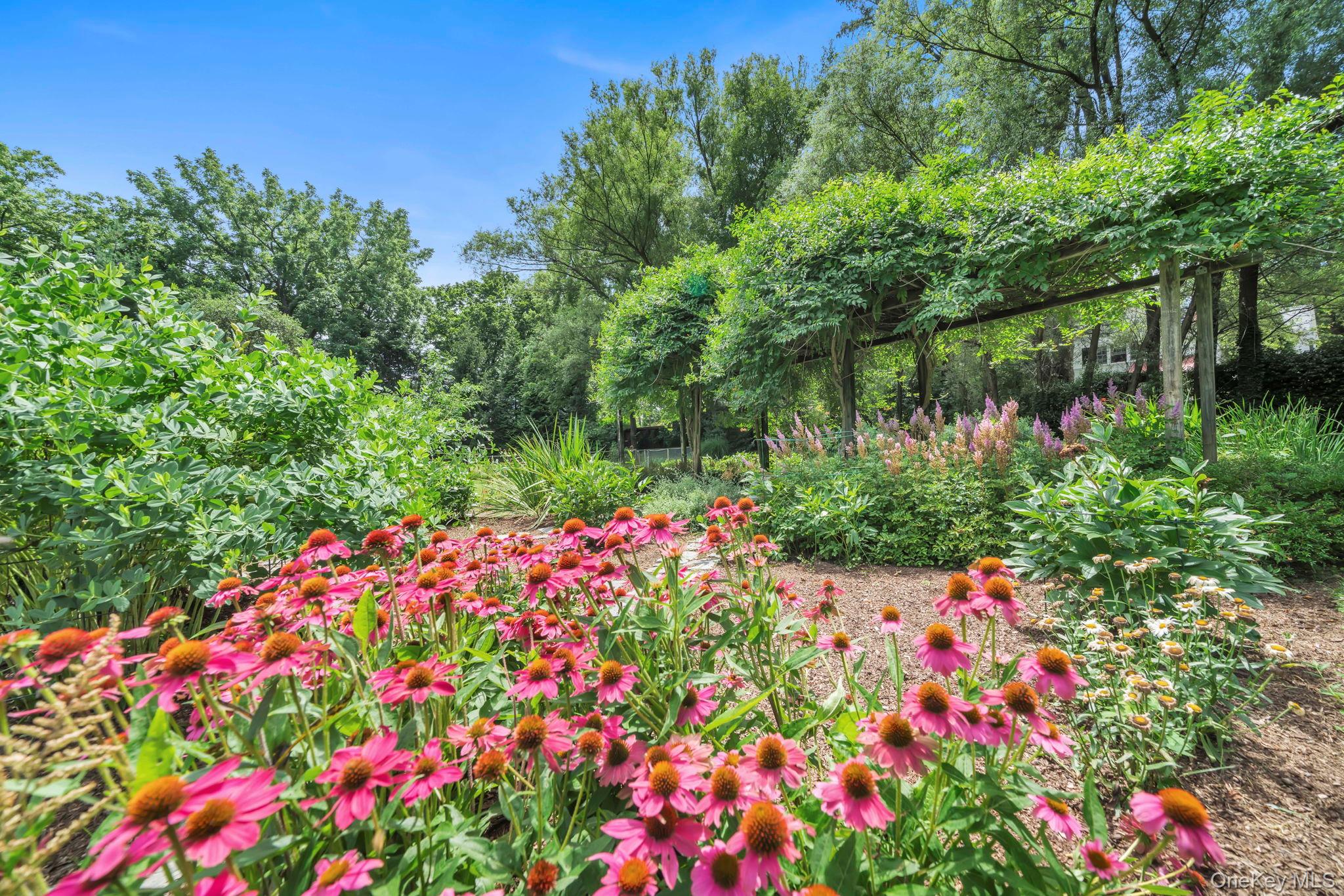 95 Piping Rock Road Locust Valley, NY 11560 - Photo 31 of 39 a picture of flowers