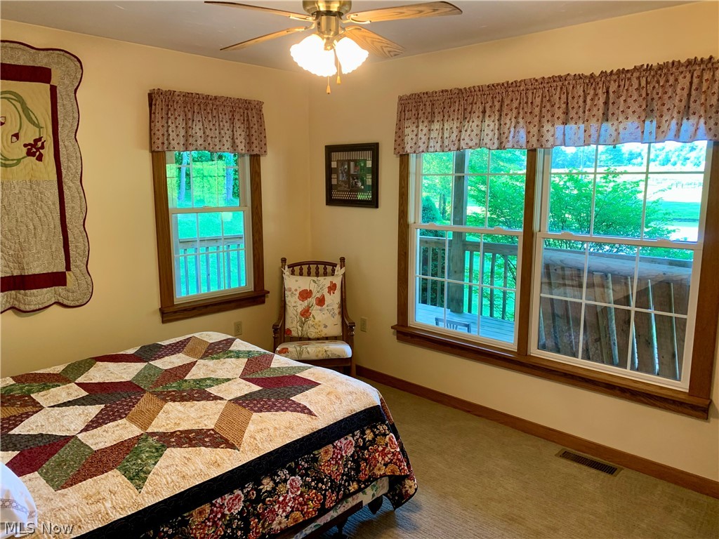 373 South Ridge Road West Conneaut, OH 44030 - Photo 20 of 50 Carpeted bedroom with ceiling fan and multiple windows