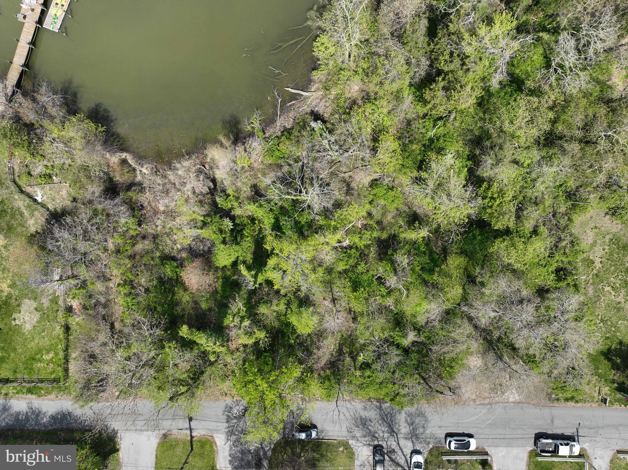 946 Benning Road Galesville, MD 20765 - Photo 34 of 57 a view of a plants with flower plants