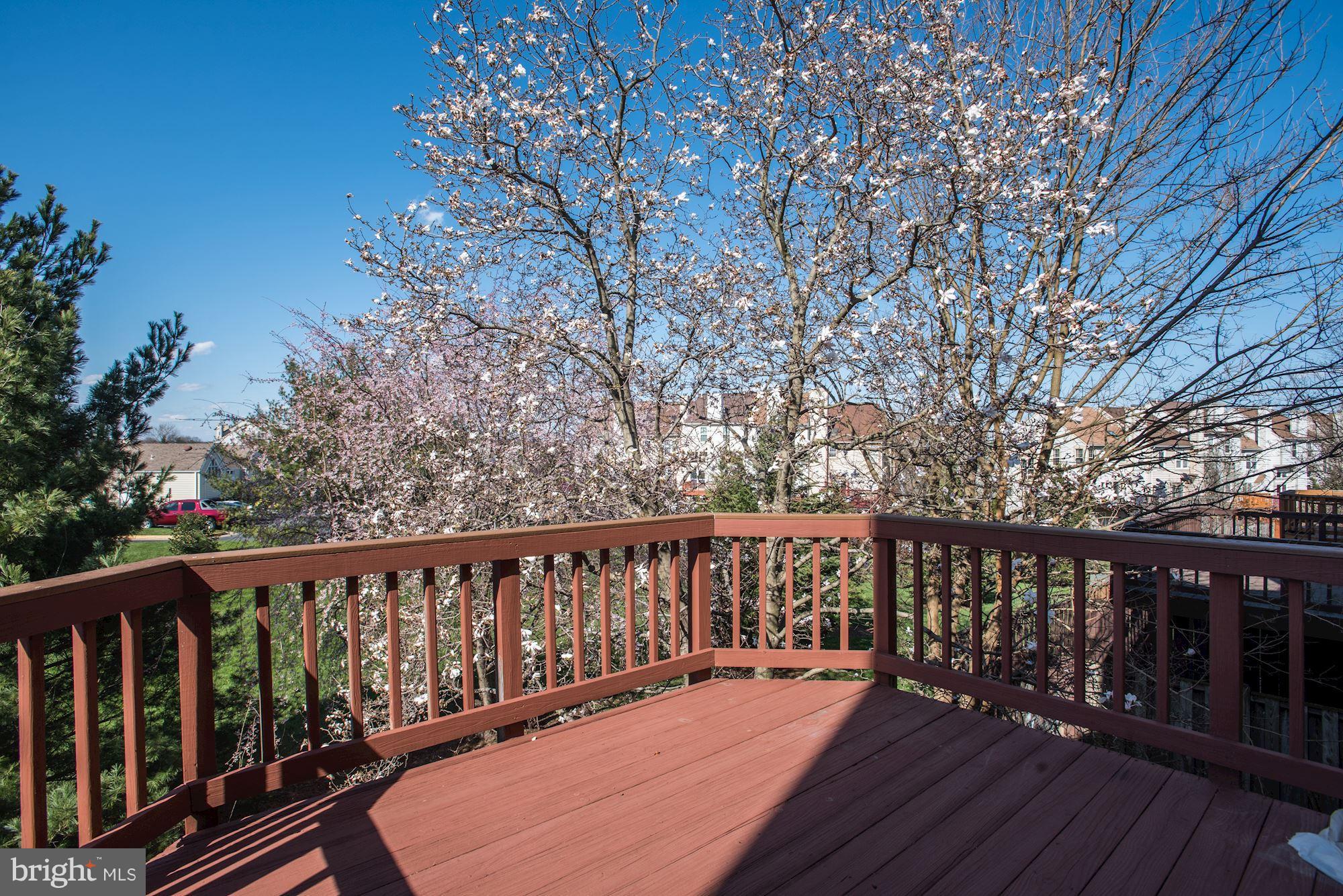 46836 Rabbitrun Terrace Sterling, VA 20164 - Photo 29 of 30 Exterior (Rear)