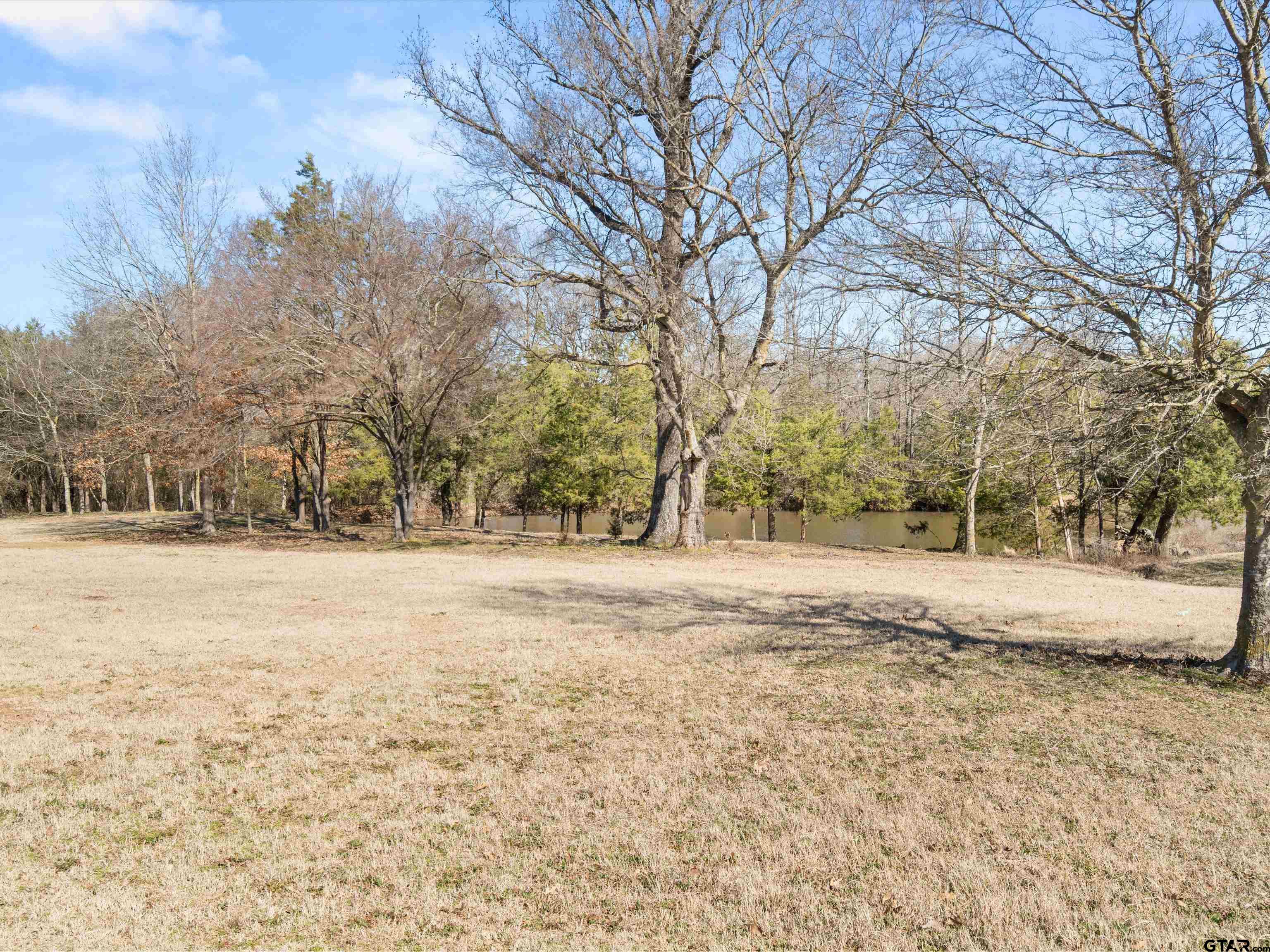 11087 Wolverine Road Pittsburg, TX 75686 - Photo 33 of 39 a view of outdoor space with trees