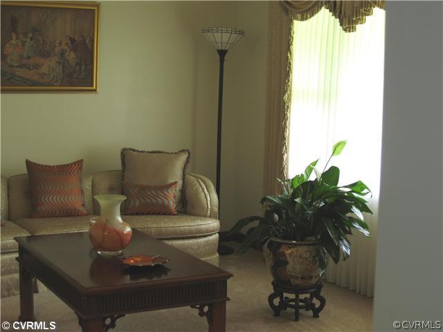 11300 Celtic Road Chesterfield, VA 23838 - Photo 7 of 12 a living room with furniture and a potted plant