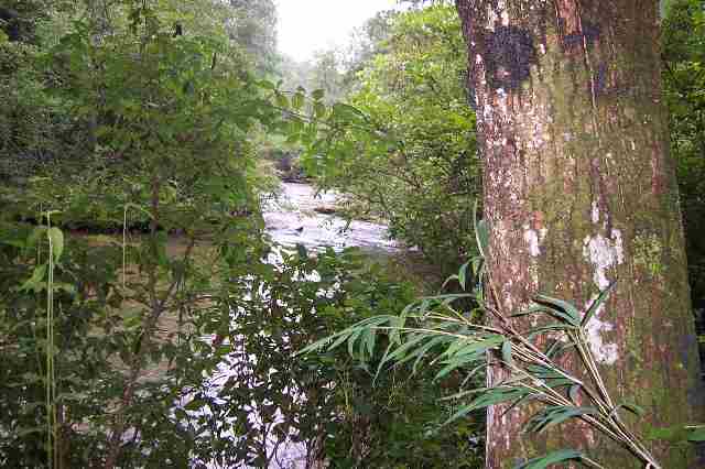421-425 Verner Mill Road Mountain Rest, SC 29664 - Photo 1 of 8 Gallery Image 1