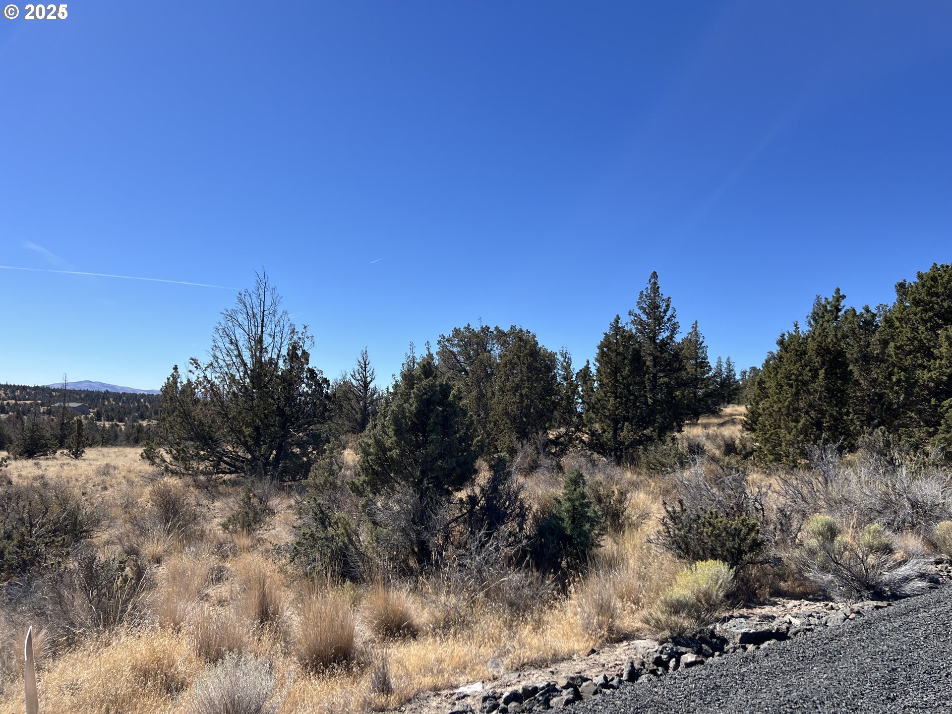 9777 Southeast Odessa Road Prineville, OR 97754 - Photo 11 of 15 a view of a covered with large trees