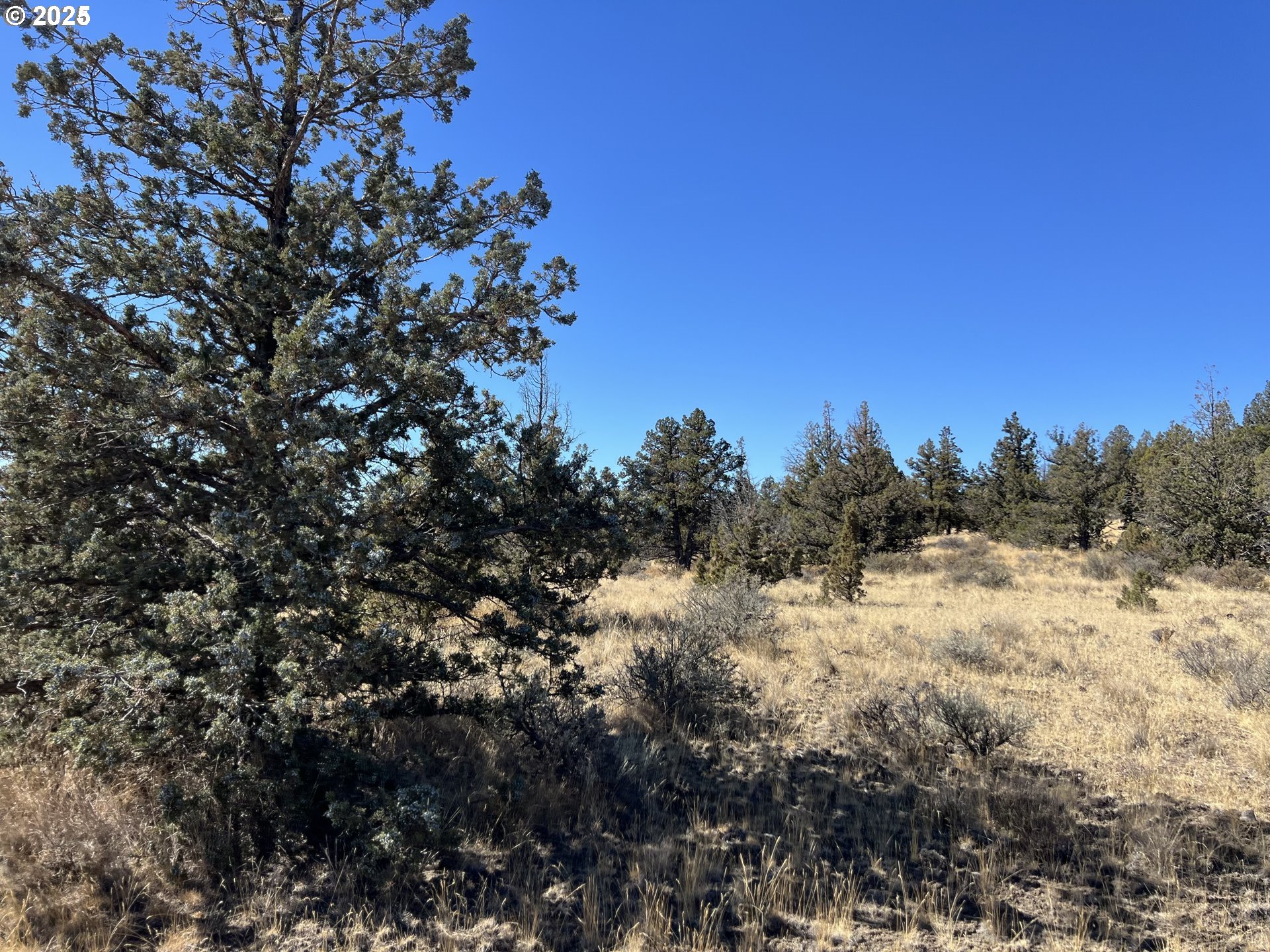 9777 Southeast Odessa Road Prineville, OR 97754 - Photo 12 of 15 a view of a covered with snow in between of forest