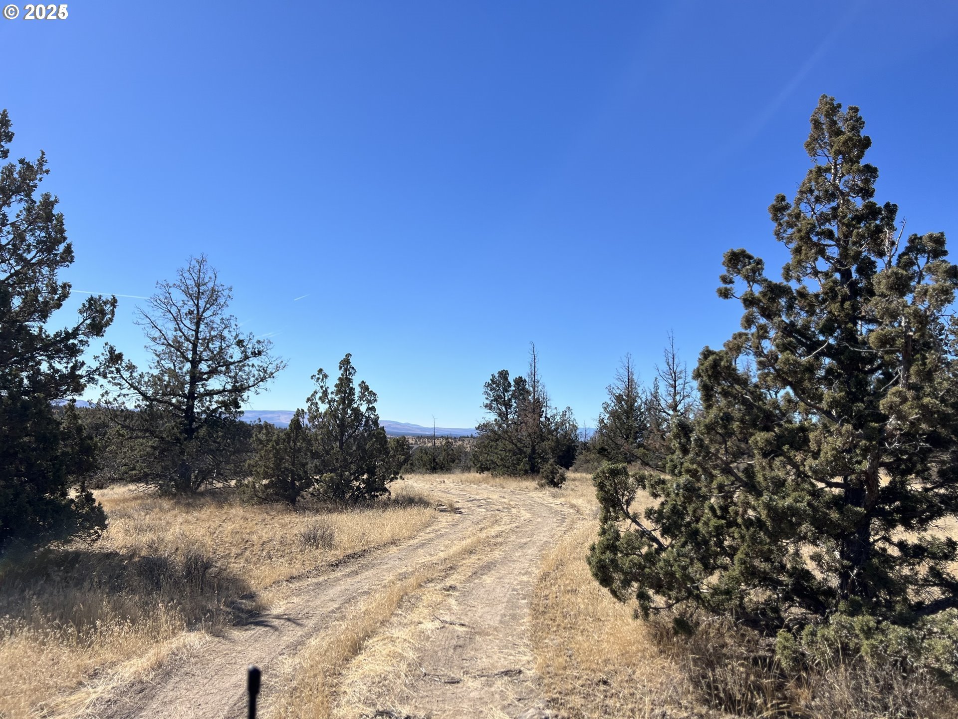 9777 Southeast Odessa Road Prineville, OR 97754 - Photo 13 of 15 a view of a snow on a field