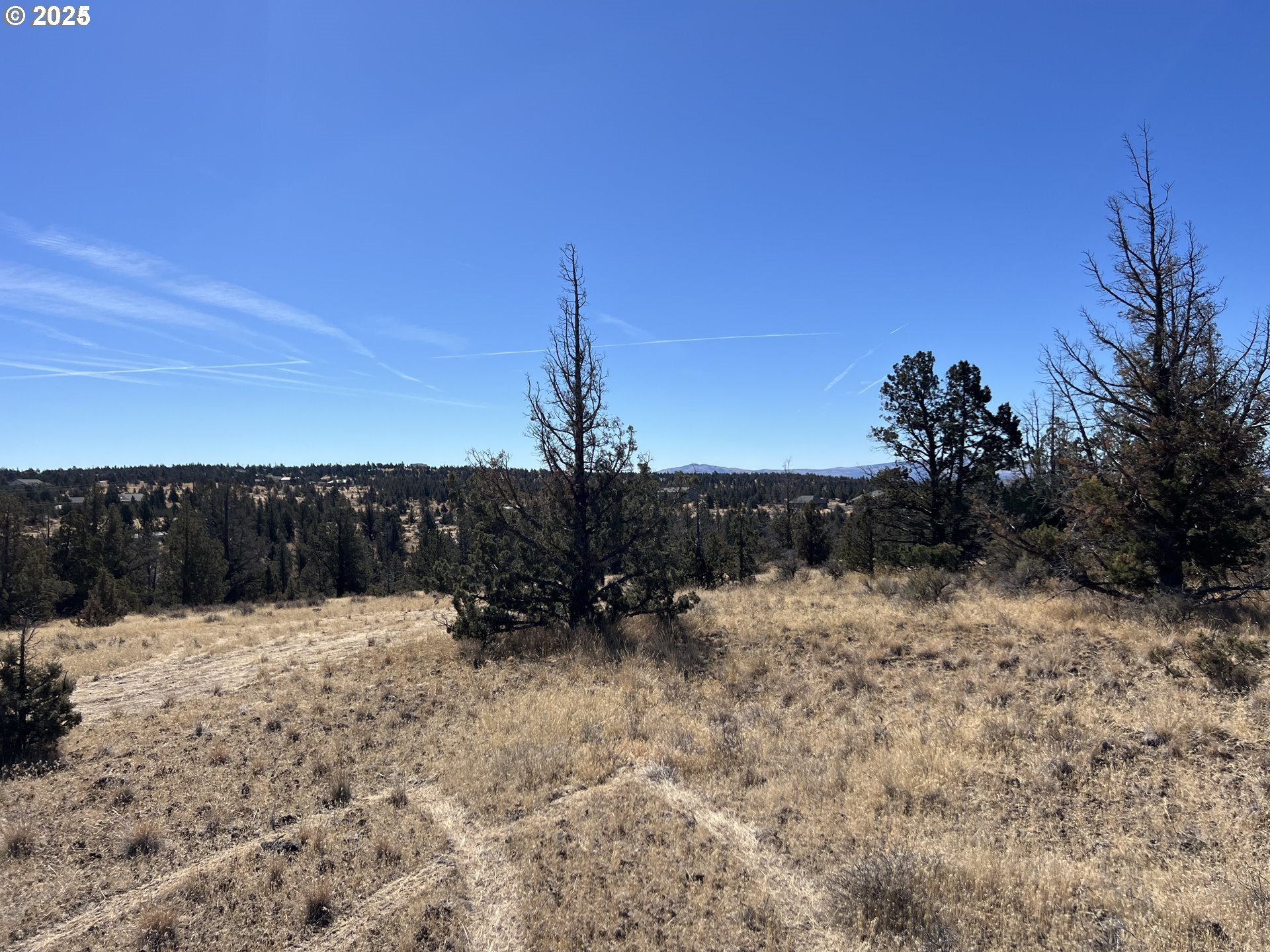 9777 Southeast Odessa Road Prineville, OR 97754 - Photo 14 of 15 a view of a yard