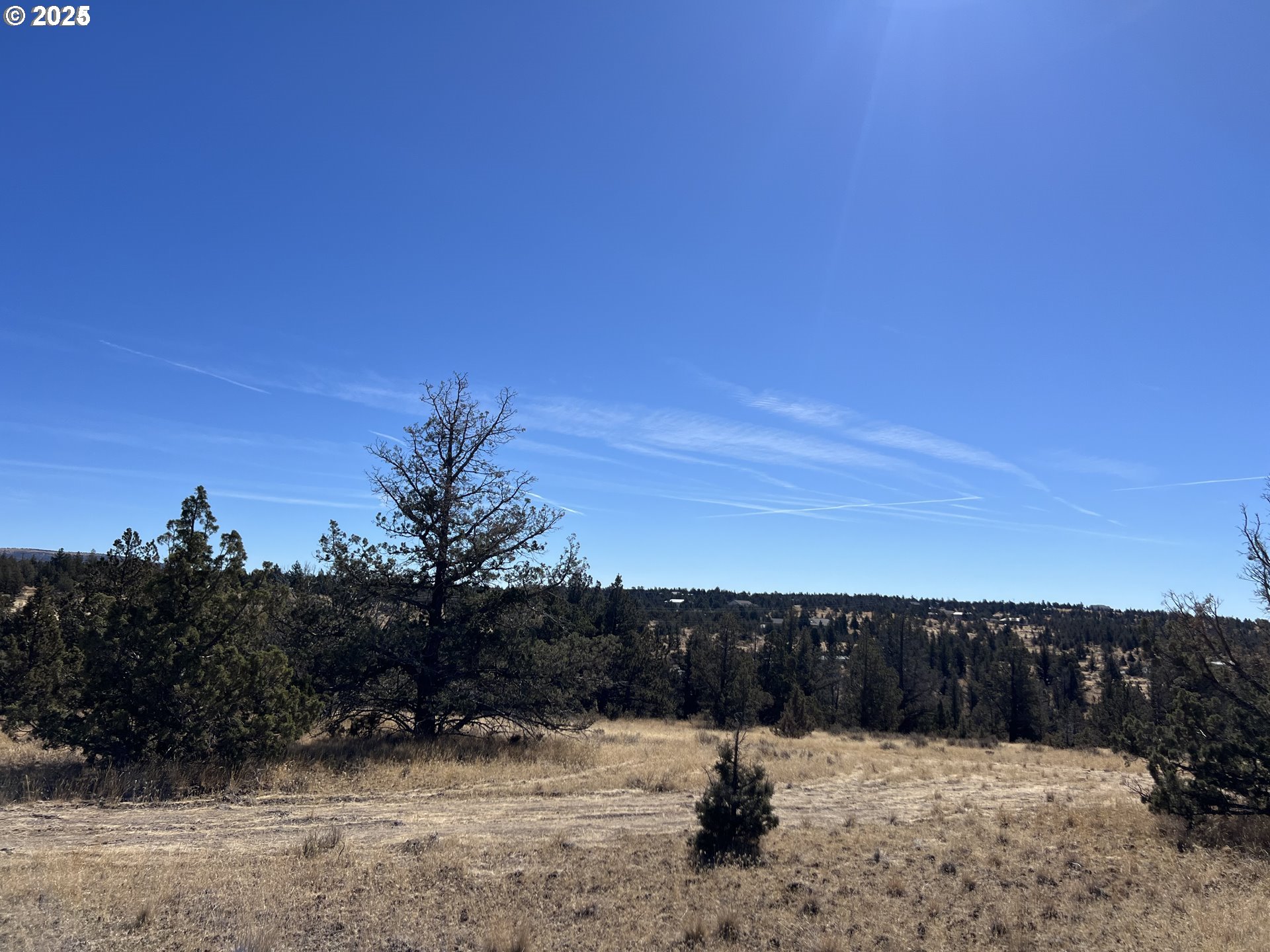 9777 Southeast Odessa Road Prineville, OR 97754 - Photo 15 of 15 a view of a yard covered with snow
