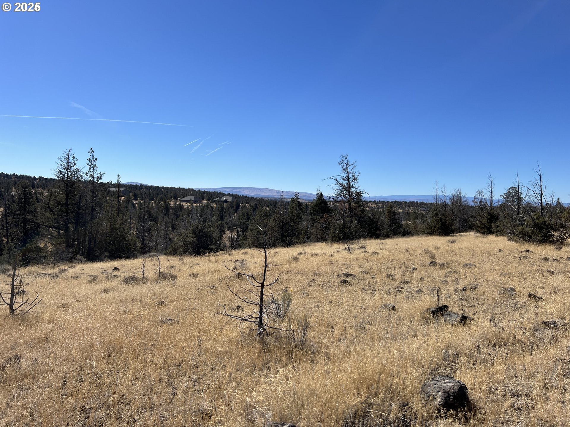 9777 Southeast Odessa Road Prineville, OR 97754 - Photo 6 of 15 a view of a yard with a snow