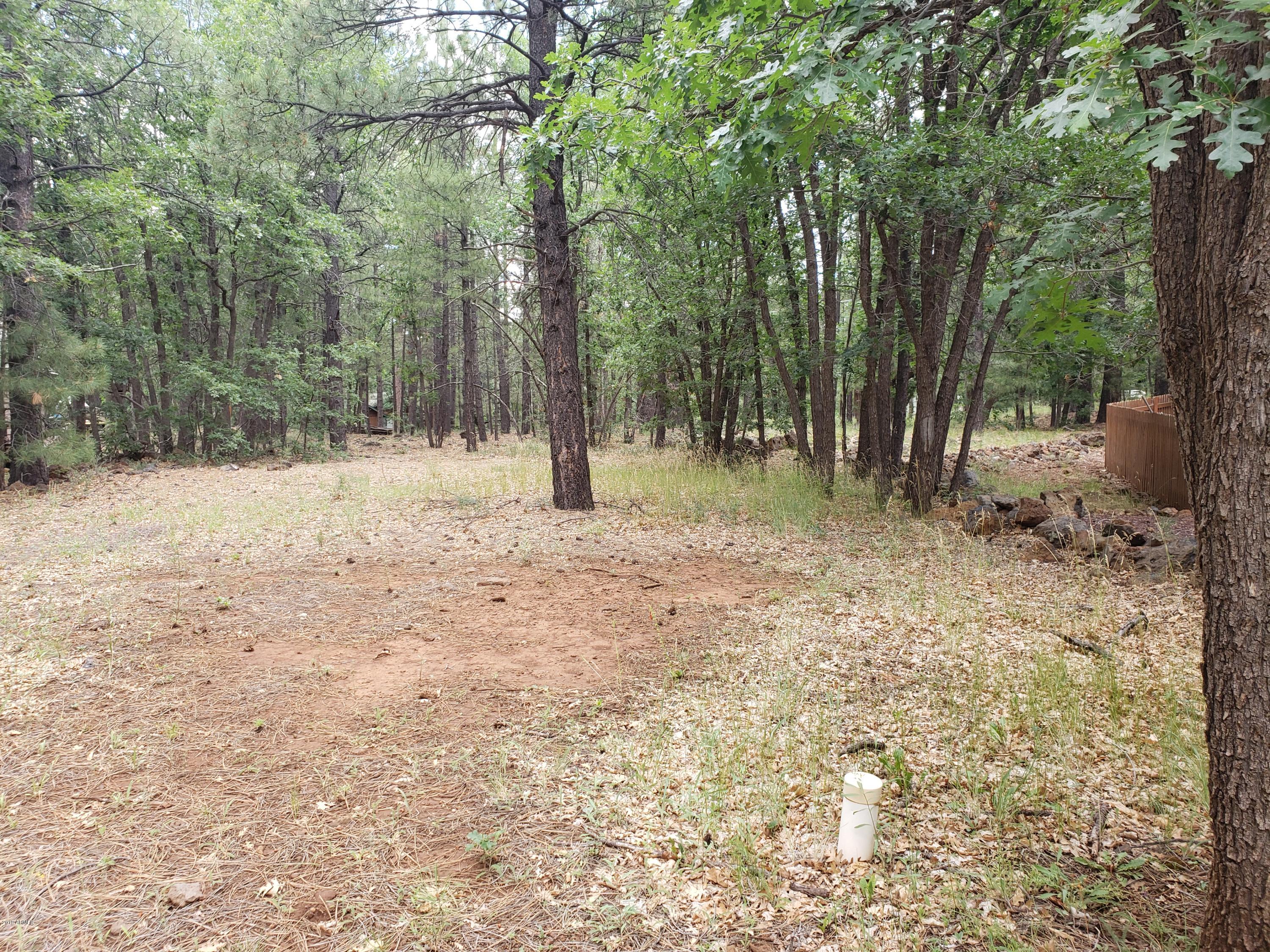 3954 Bridle Path Loop, Unit 413 Pinetop, AZ 85935 - Photo 12 of 13 20190725_102103