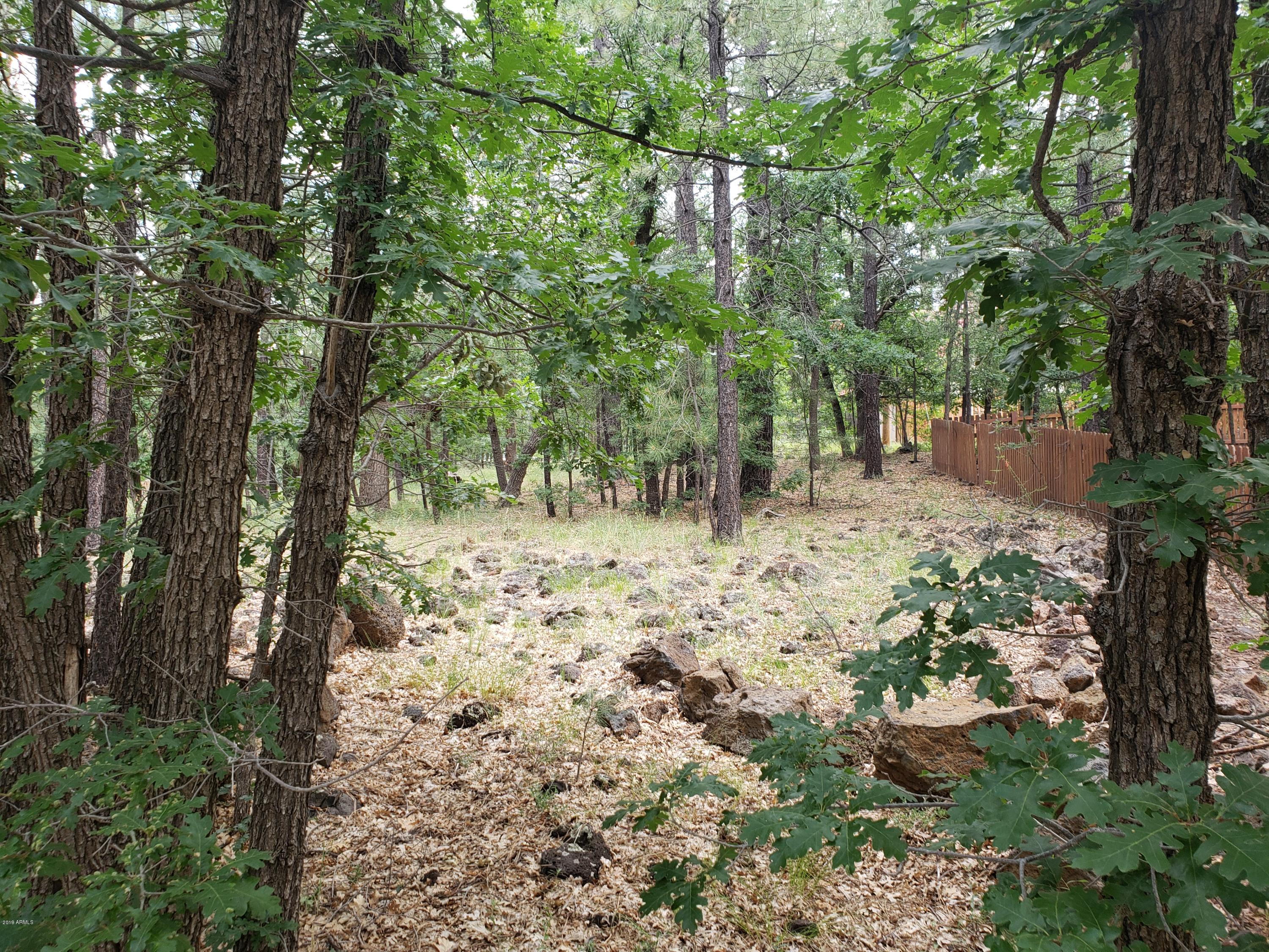 3954 Bridle Path Loop, Unit 413 Pinetop, AZ 85935 - Photo 3 of 13 20190725_102615