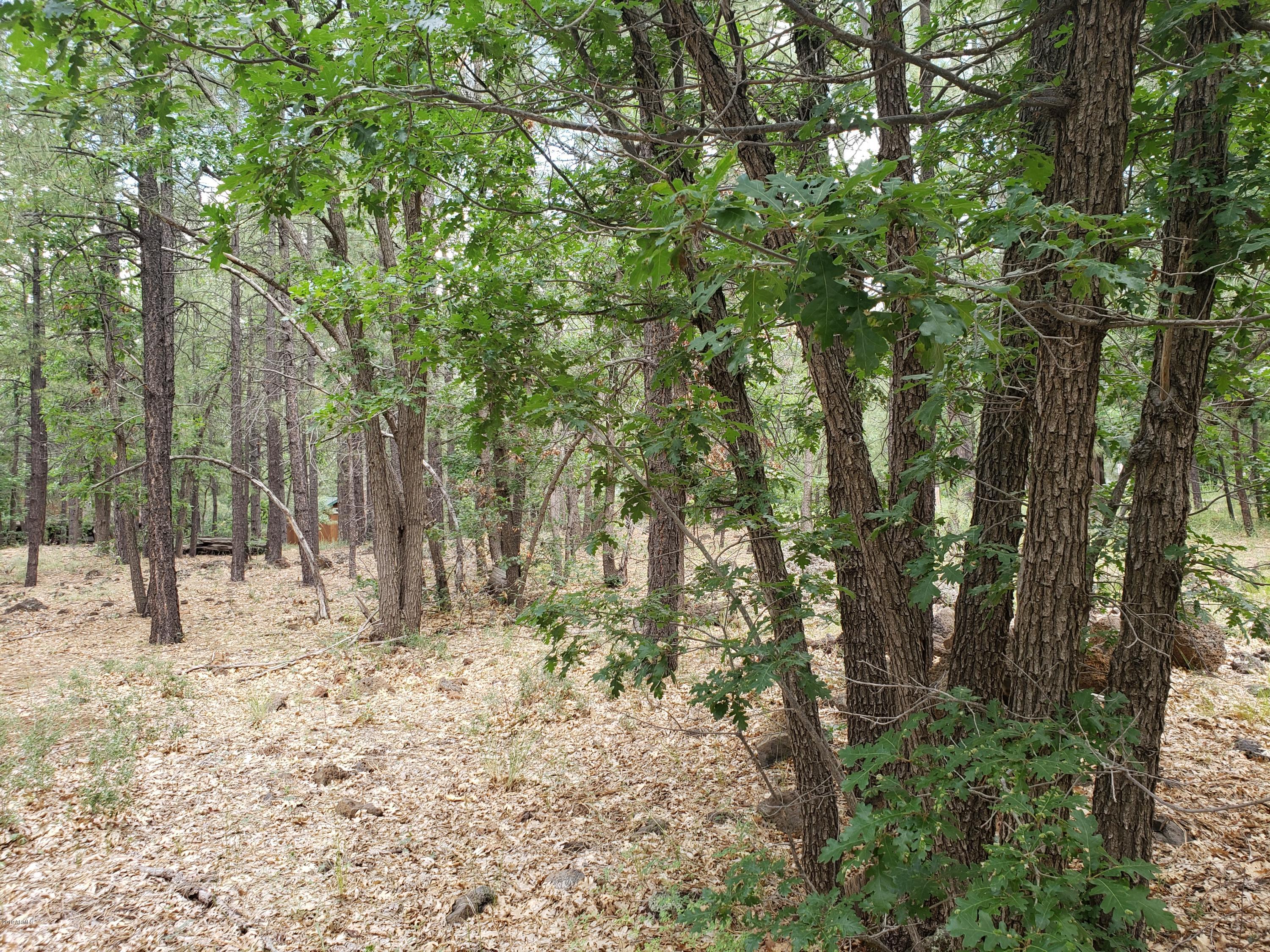 3954 Bridle Path Loop, Unit 413 Pinetop, AZ 85935 - Photo 4 of 13 20190725_102612