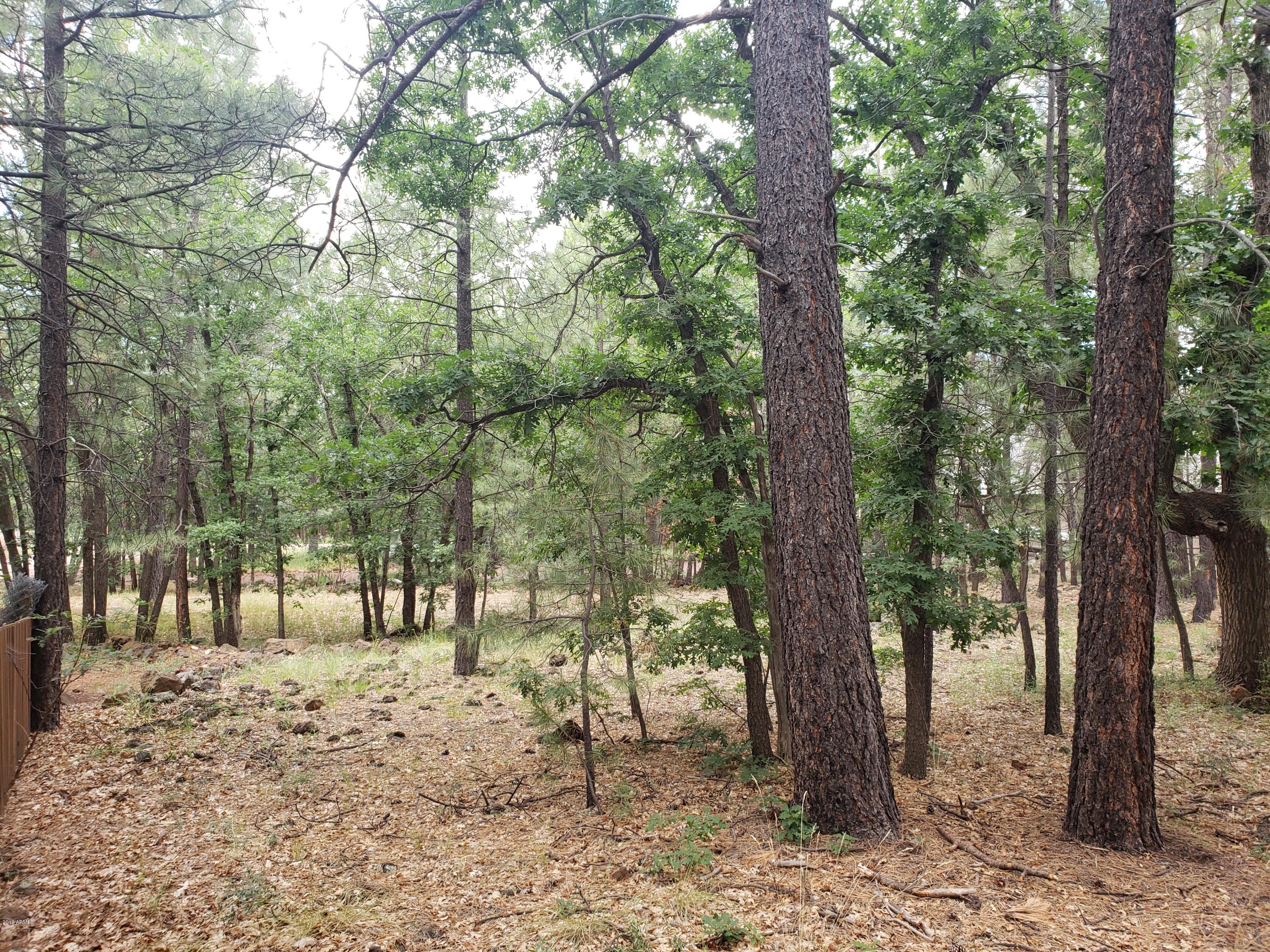 3954 Bridle Path Loop, Unit 413 Pinetop, AZ 85935 - Photo 5 of 13 20190725_102529