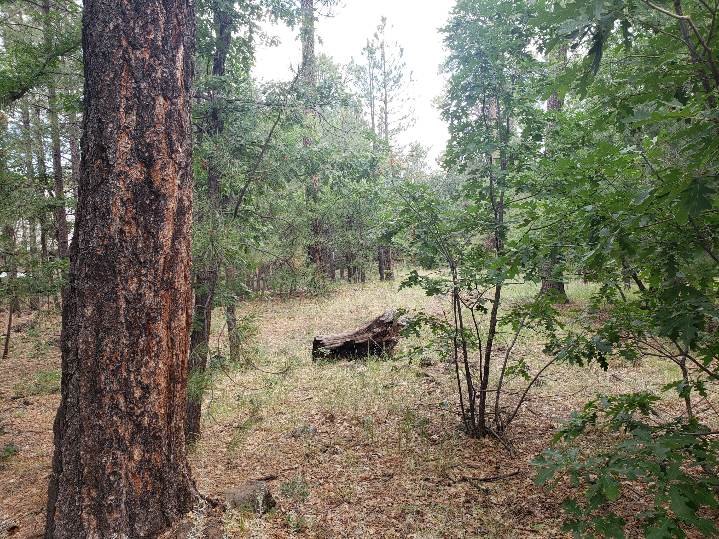 3954 Bridle Path Loop, Unit 413 Pinetop, AZ 85935 - Photo 6 of 13 20190725_102515