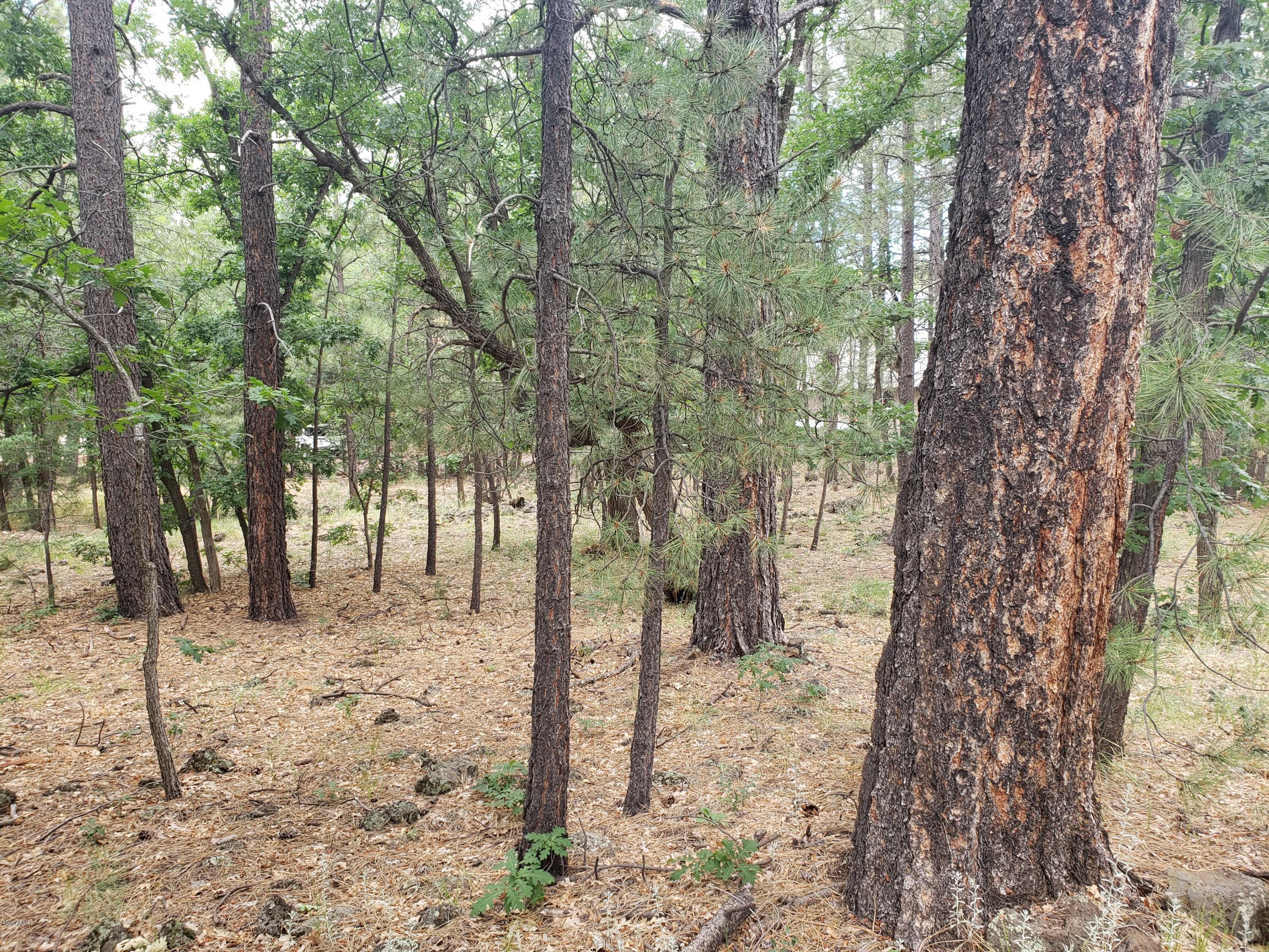3954 Bridle Path Loop, Unit 413 Pinetop, AZ 85935 - Photo 7 of 13 20190725_102510