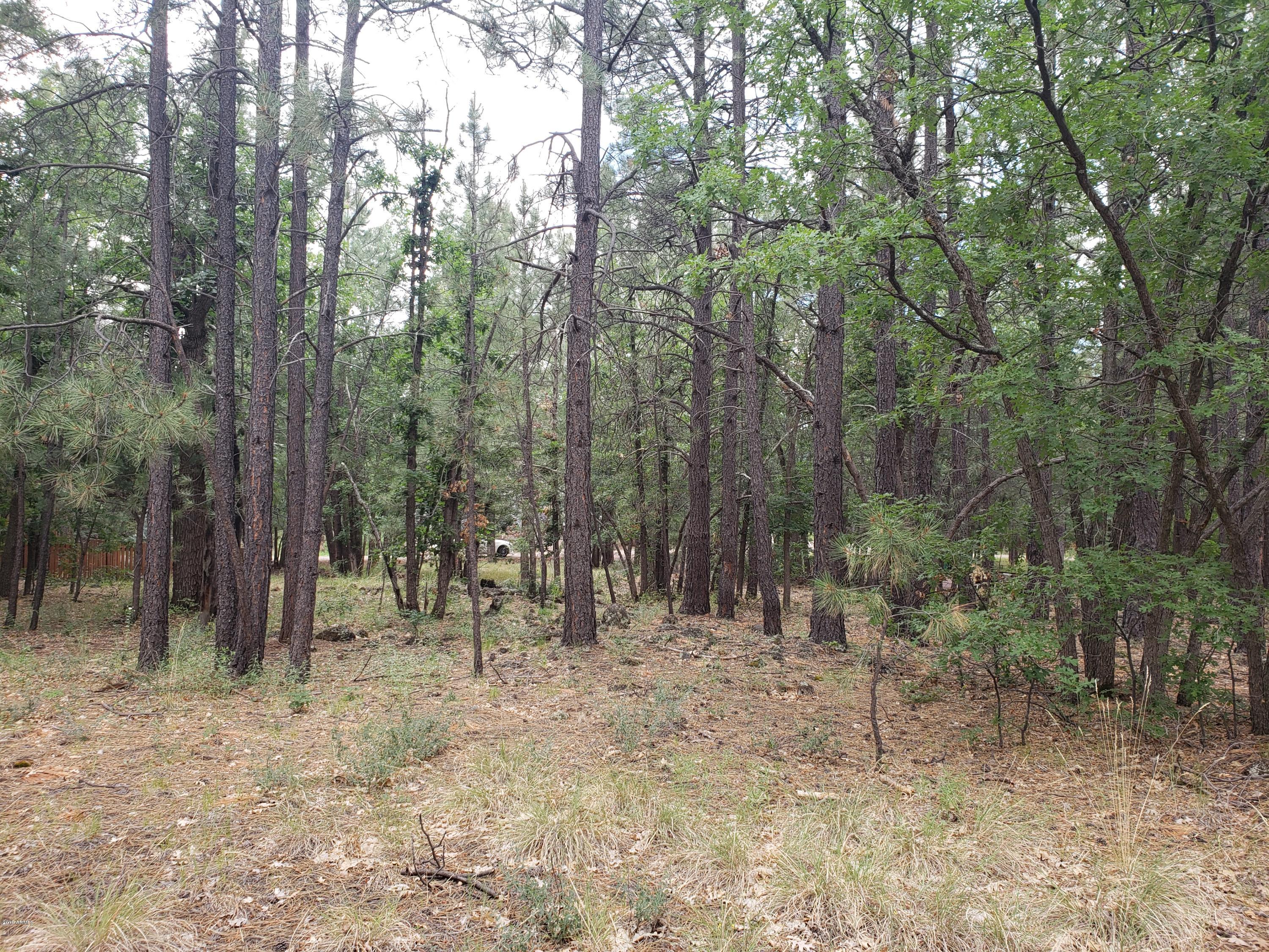 3954 Bridle Path Loop, Unit 413 Pinetop, AZ 85935 - Photo 8 of 13 20190725_102439