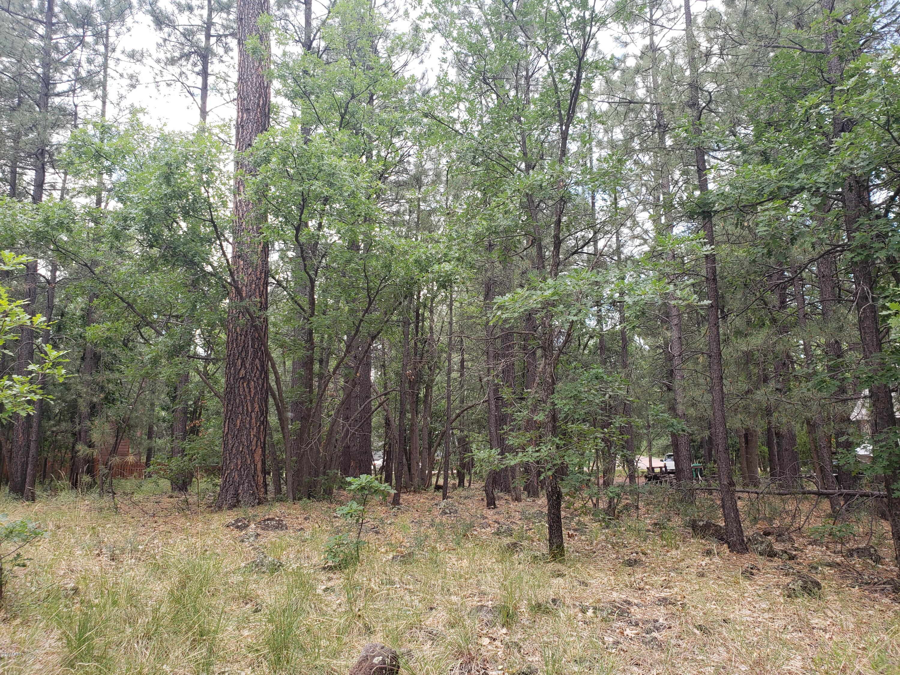 3954 Bridle Path Loop, Unit 413 Pinetop, AZ 85935 - Photo 9 of 13 20190725_102414