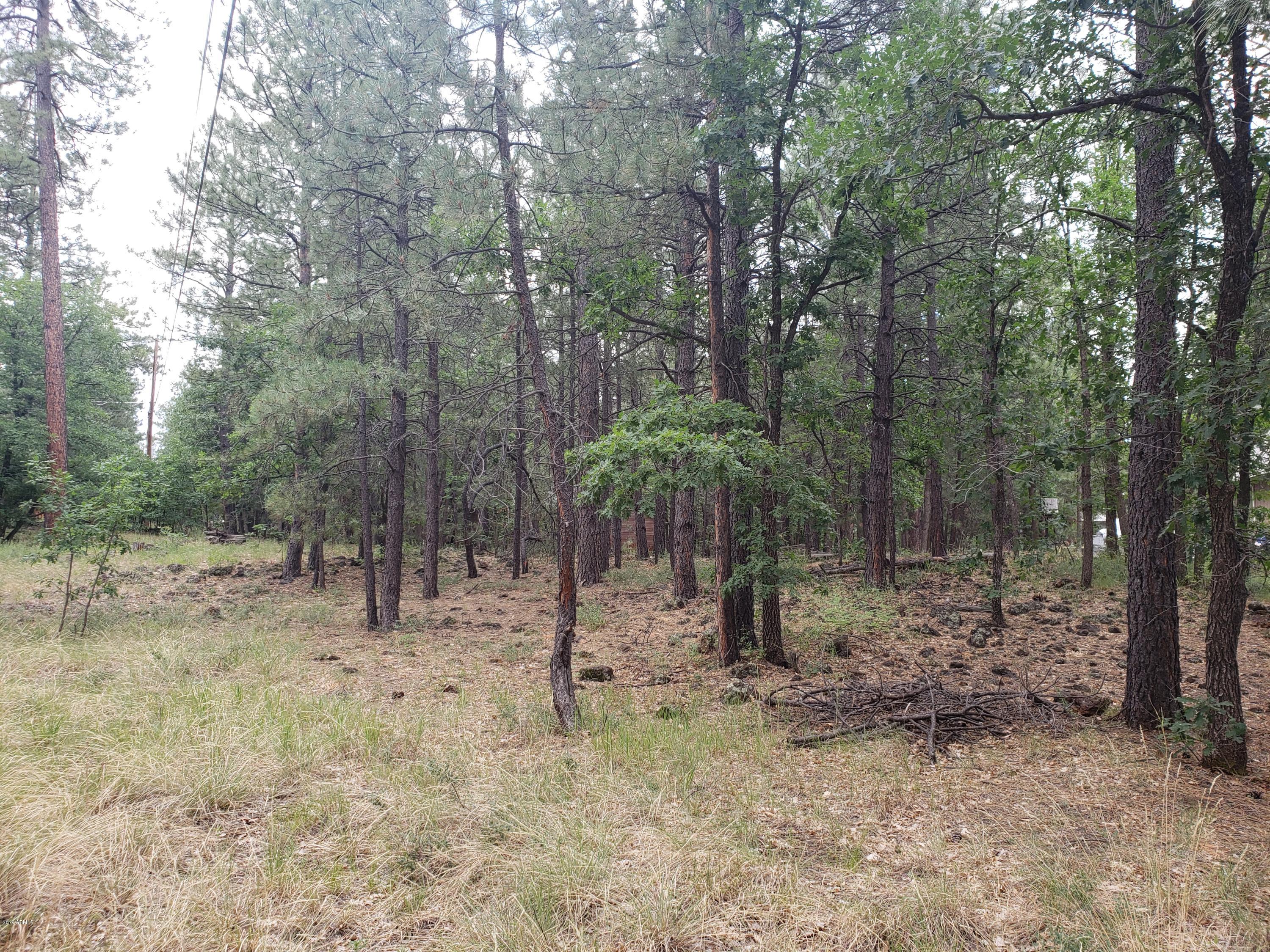 3954 Bridle Path Loop, Unit 413 Pinetop, AZ 85935 - Photo 10 of 13 20190725_102311