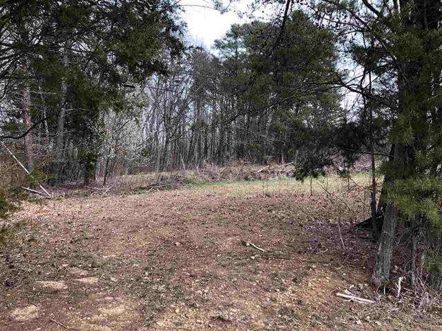 0 Greenbriar Road Talbott, TN 37877 - Photo 1 of 4 587908