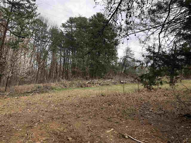 0 Greenbriar Road Talbott, TN 37877 - Photo 3 of 4 587908-2