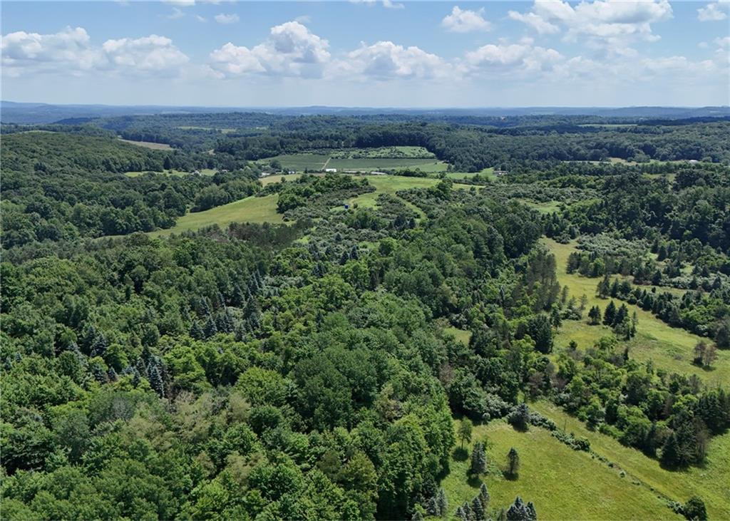 0 G And S Road Punxsutawney, PA 15767 - Photo 2 of 6