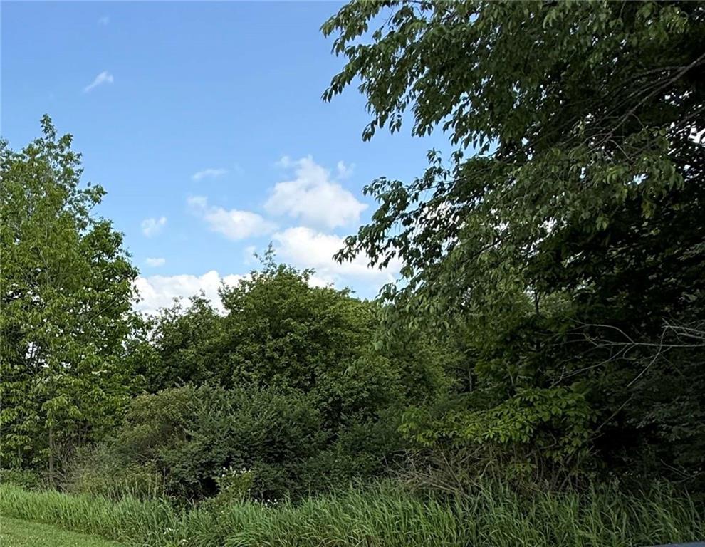 0 G And S Road Punxsutawney, PA 15767 - Photo 4 of 6