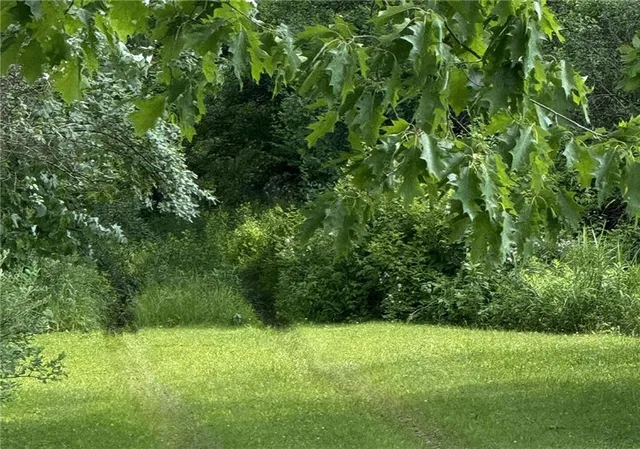 $379,000 | 0 G And S Road, Punxsutawney, PA 15767