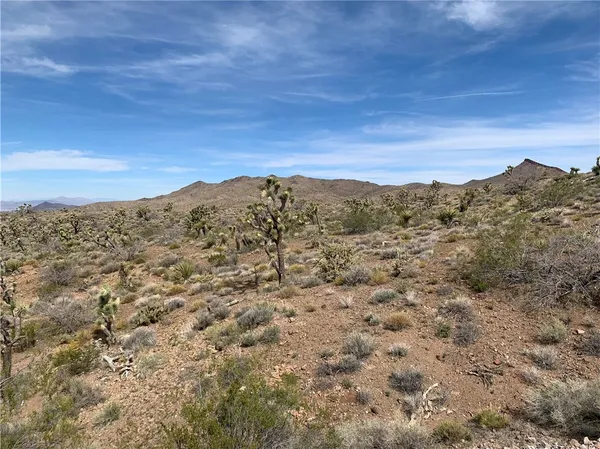 $50,000 | 54 West Red Willow Springs Road, Willow Beach, AZ 86445