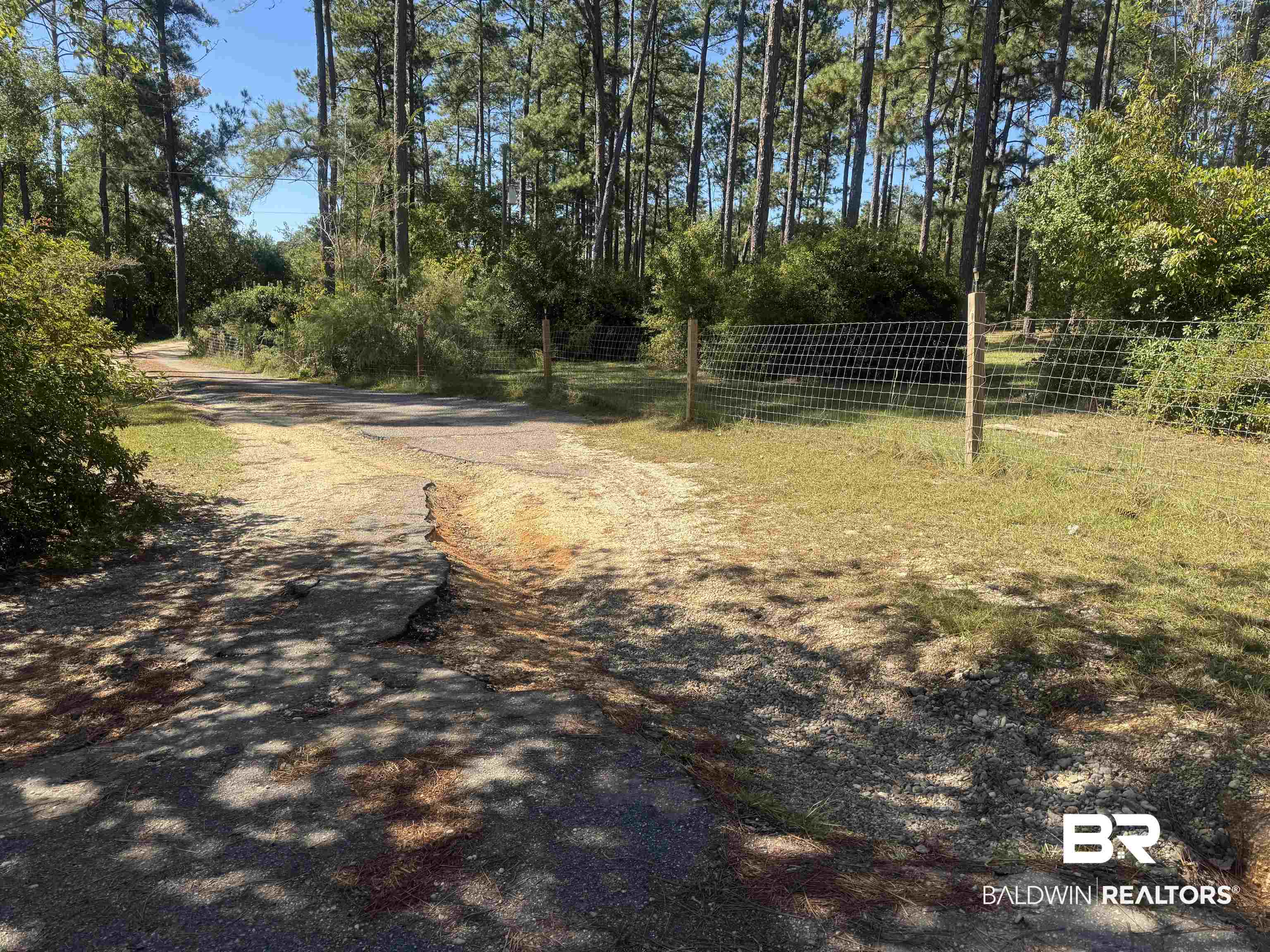 3097 Old Castleberry Road Brewton, AL 36426 - Photo 25 of 49 Driveway