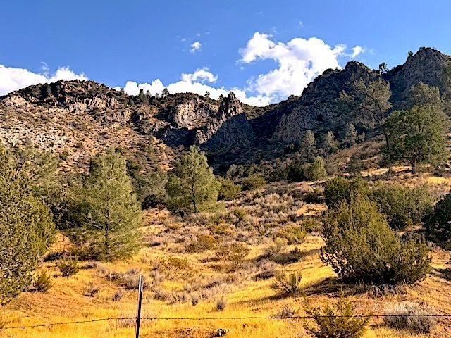 Tice Rd Lake Mountain Mesa, CA 93240 - Photo 12 of 18