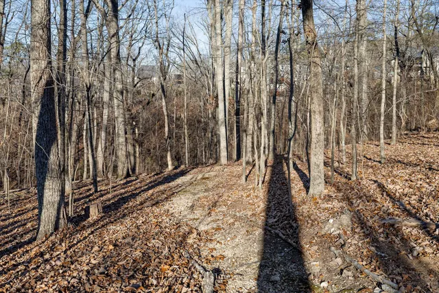 $514,500 | 7176 Klingler Lane, Ooltewah, TN 37363