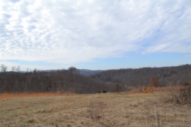 129 Rushing Springs Road Monterey, TN 38574 - Photo 1 of 49 Gallery Image 1