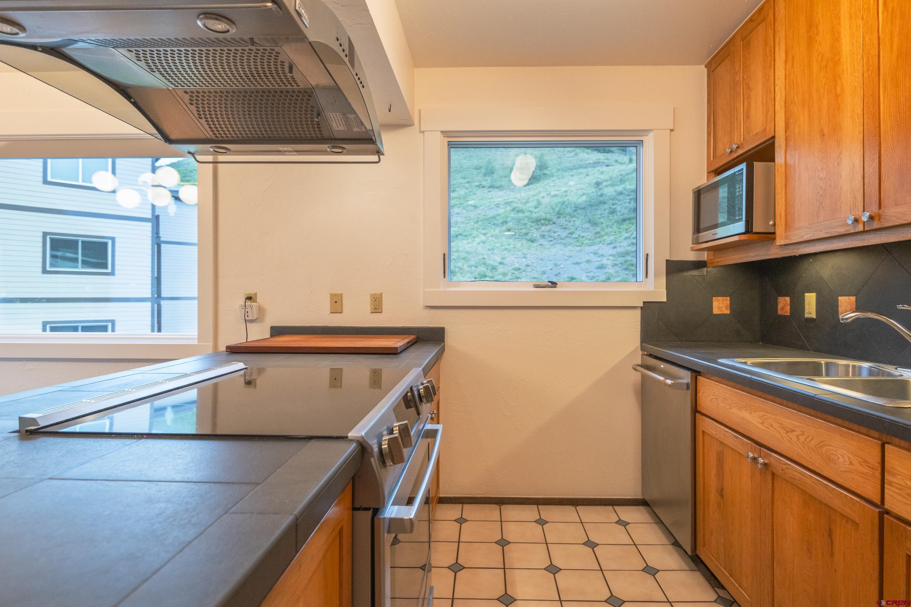 755 Gothic Road, Unit 10 Crested Butte, CO 81225 - Photo 11 of 30 Gallery Image 11