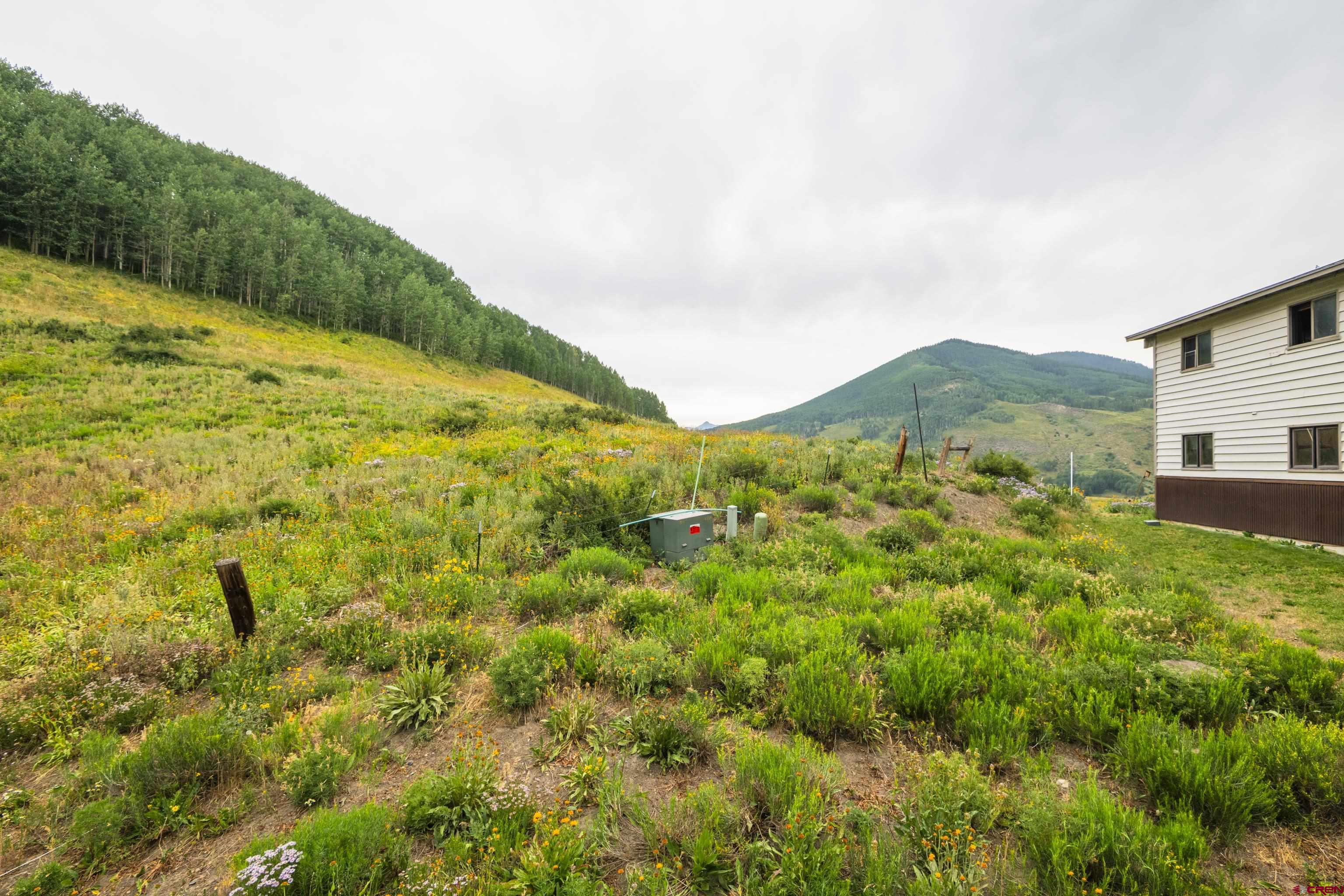 755 Gothic Road, Unit 10 Crested Butte, CO 81225 - Photo 24 of 30 Gallery Image 24