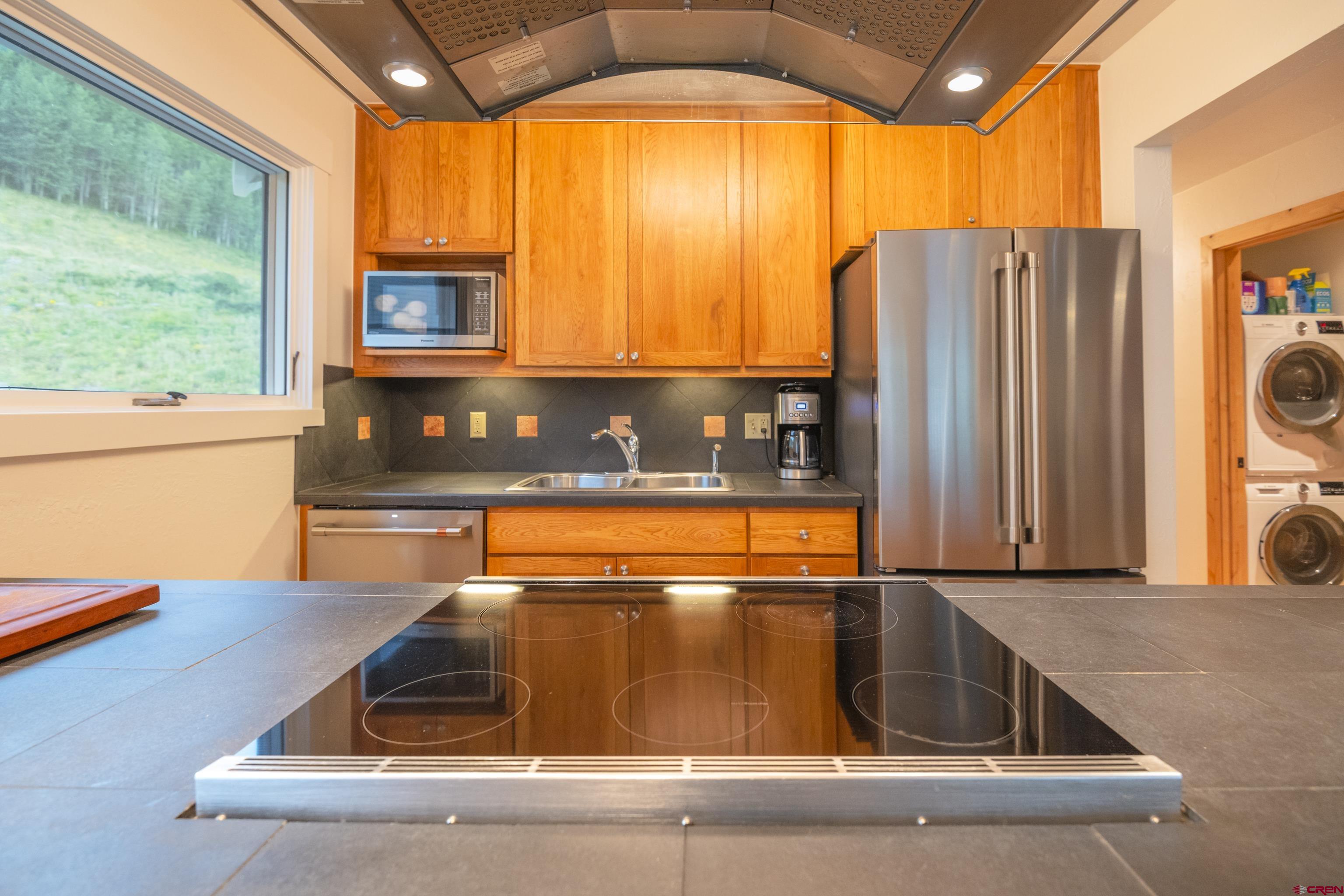 755 Gothic Road, Unit 10 Crested Butte, CO 81225 - Photo 10 of 30 Gallery Image 10