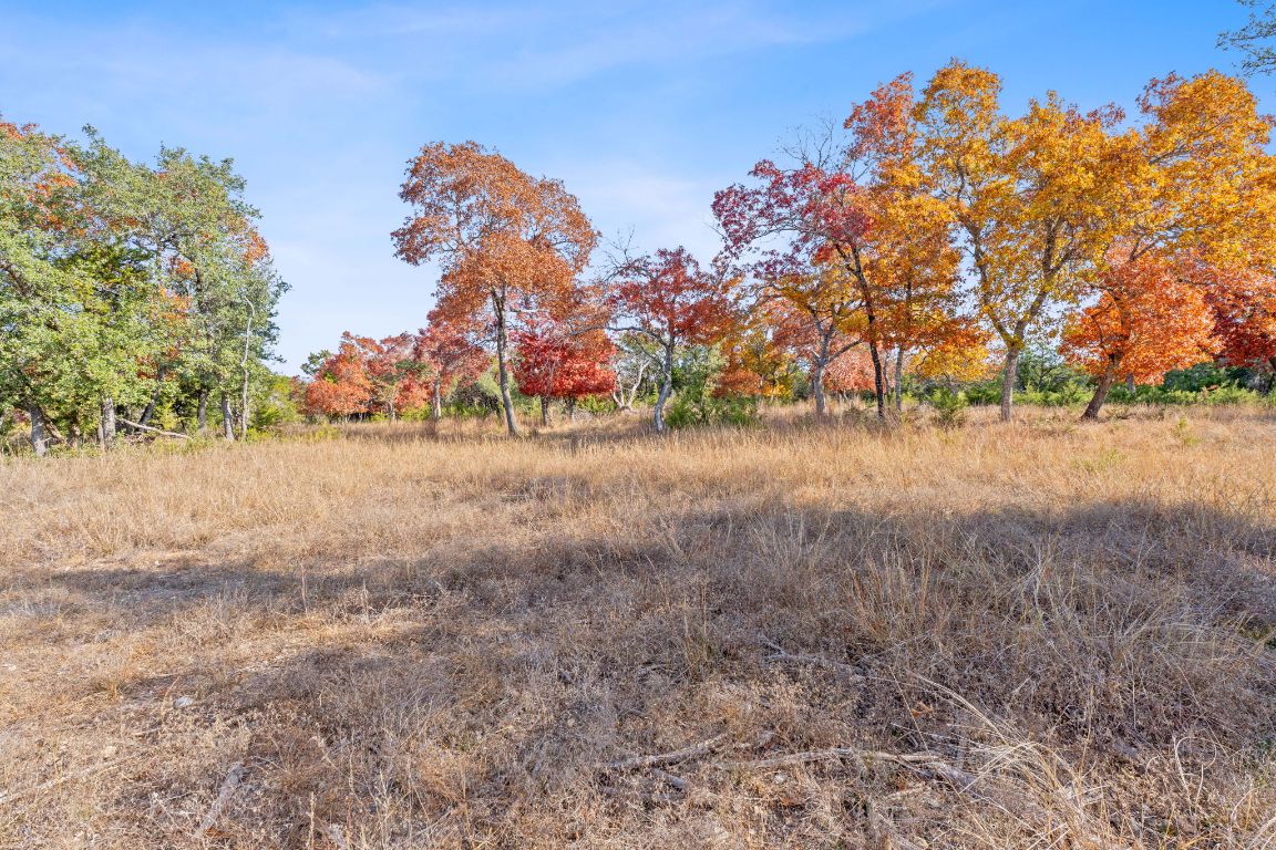 801 Needham Road Dripping Springs, TX 78620 - Photo 11 of 36 View of nature featuring rural landscape