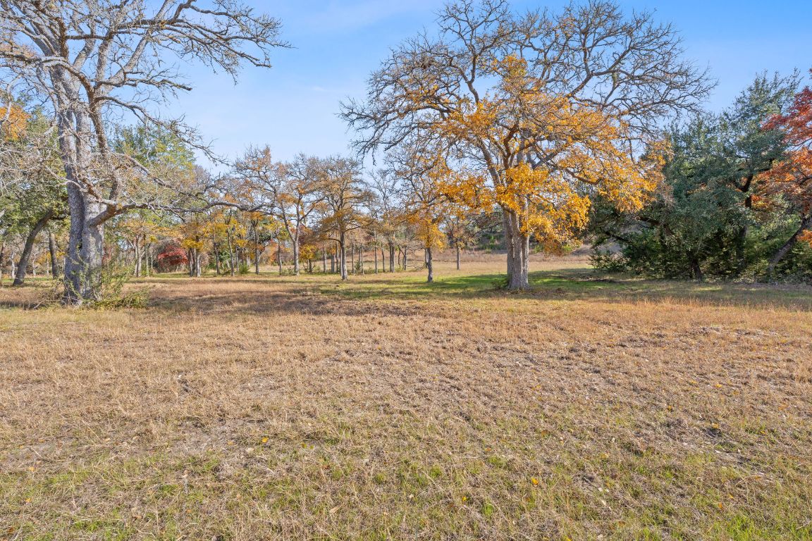 801 Needham Road Dripping Springs, TX 78620 - Photo 19 of 36 view of land