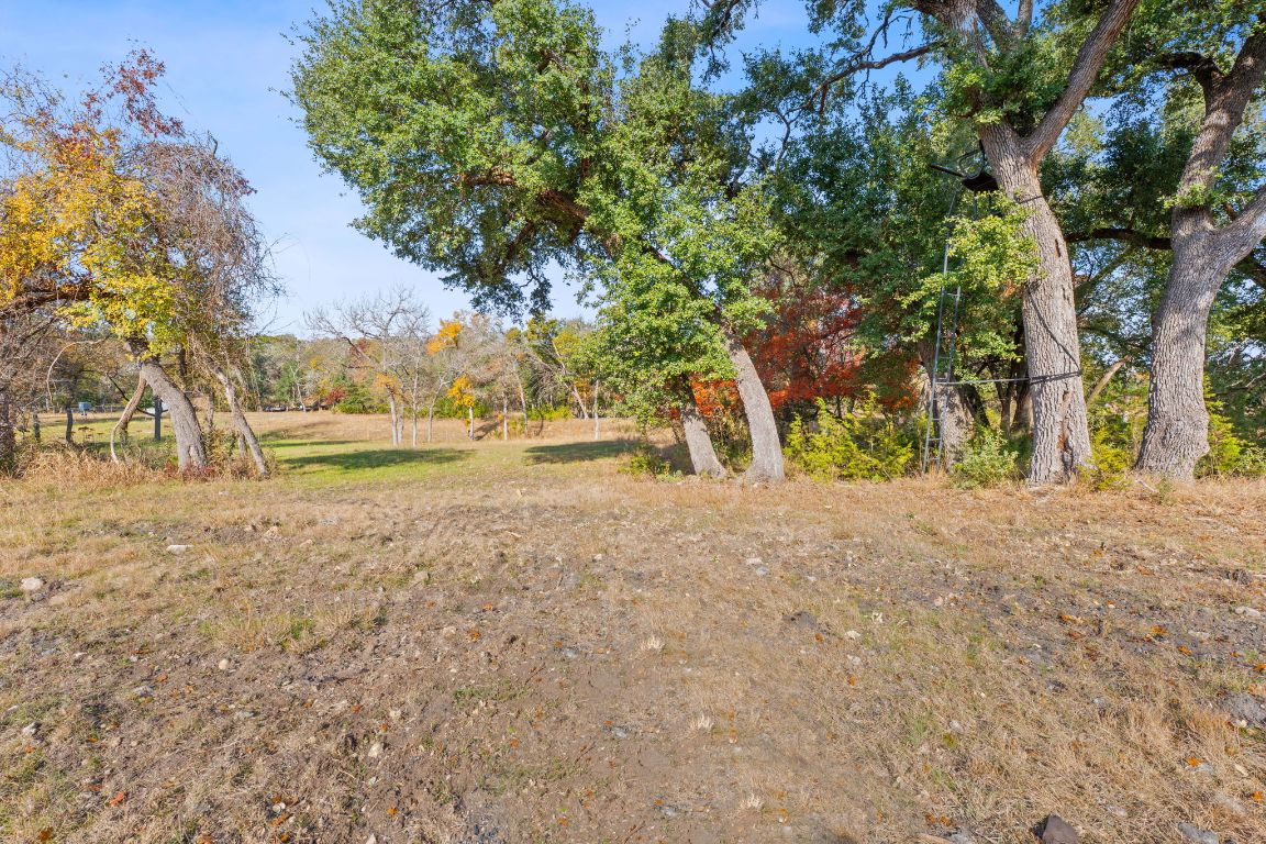 801 Needham Road Dripping Springs, TX 78620 - Photo 21 of 36 View of trees