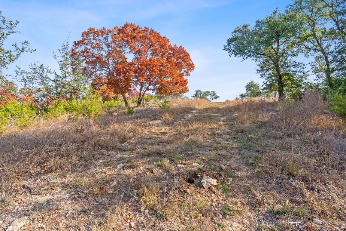 801 Needham Road Dripping Springs, TX 78620 - Photo 22 of 36 View of Land with elevation