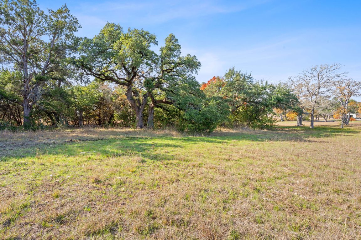 801 Needham Road Dripping Springs, TX 78620 - Photo 24 of 36 View of yard