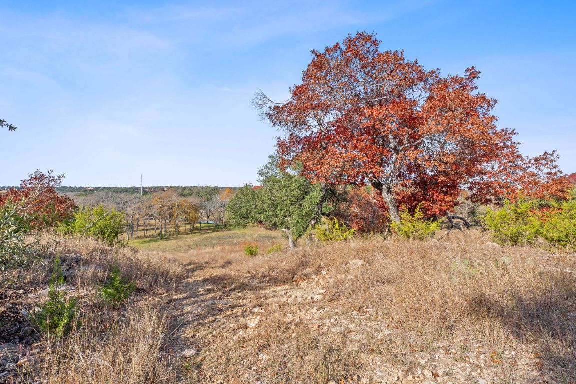801 Needham Road Dripping Springs, TX 78620 - Photo 10 of 36 View of undeveloped land featuring rural landscape