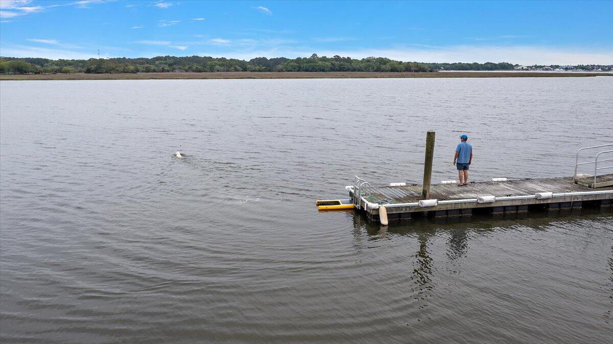 6979-6989 Delastree Road Wadmalaw Island, SC 29487 - Photo 12 of 22 12-DJI_0050