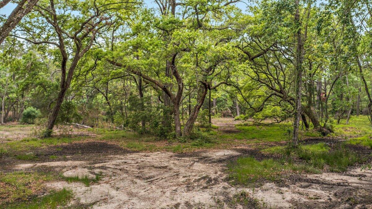 6979-6989 Delastree Road Wadmalaw Island, SC 29487 - Photo 21 of 22 06-DJI_0023
