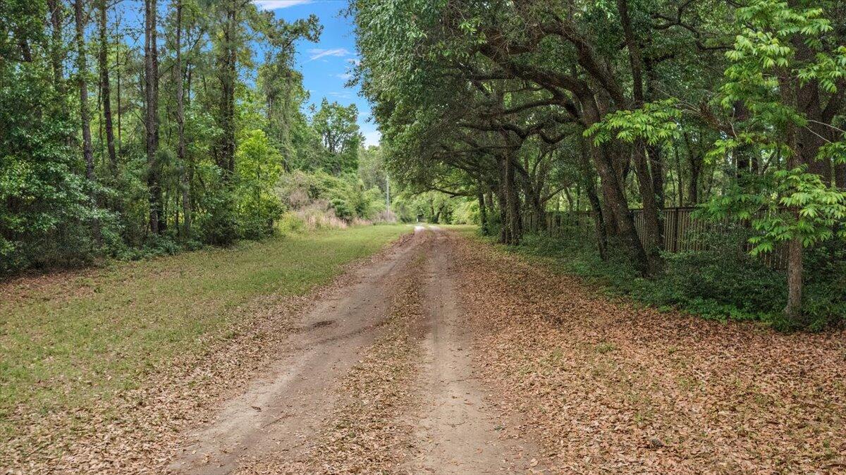 6979-6989 Delastree Road Wadmalaw Island, SC 29487 - Photo 6 of 22 01-DJI_0003