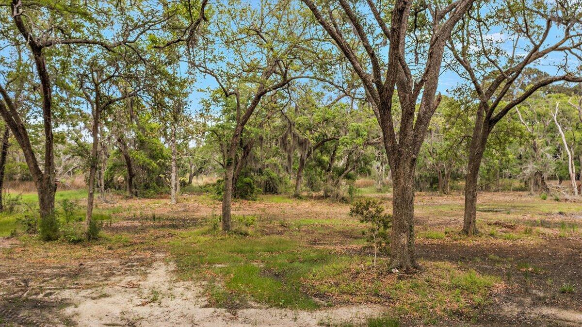 6979-6989 Delastree Road Wadmalaw Island, SC 29487 - Photo 7 of 22 07-DJI_0027