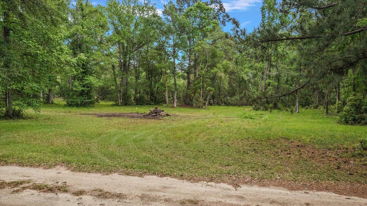 6979-6989 Delastree Road Wadmalaw Island, SC 29487 - Photo 8 of 22 02-DJI_0008