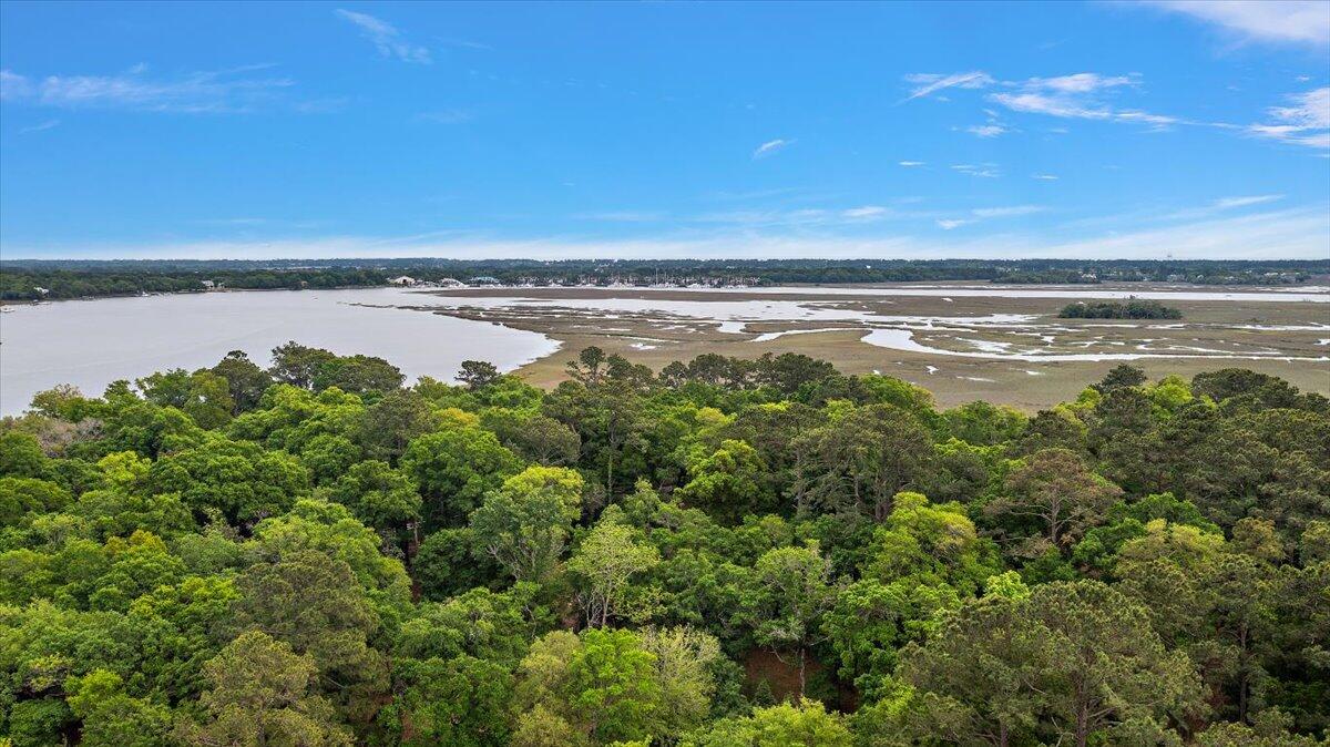 6979-6989 Delastree Road Wadmalaw Island, SC 29487 - Photo 9 of 22 21-DJI_0091
